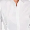 Cassidy Silky Cotton Shirt