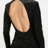 Dana Velvet Shimmer Dress