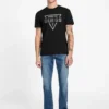 Eco Painted Triangle Tee