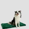 Faux-Fur Pet Carpet