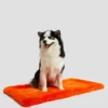 Faux-Fur Pet Carpet