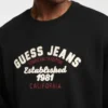 Fleece Logo Sweater