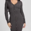 Josie Button Sweater Dress