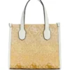 Silvana Raffia Mini Tote
