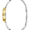 Silver and Gold-Tone Analog Watch