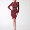 Stella Mesh Dress