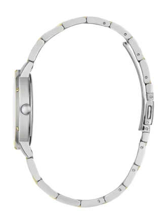 Two-Tone Analog Watch
