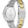 Two-Tone Analog Watch