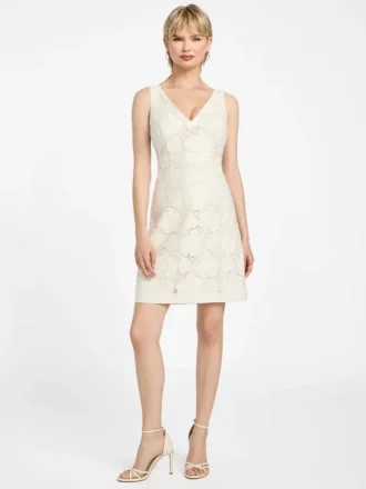 Vega Lace Mini Dress